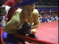 MMA fight MMA fight