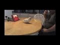Stupid Goffin Cockatoo tricks