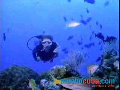 0 La Península de Zapata, buceo y naturaleza