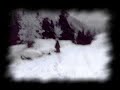 Nordlicht-Herbstrot