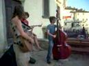 pelago 2008