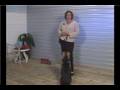 Dog Training Tips : Dog Training: Preventing Jumping