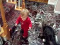 Baby and Maine Coon Cat Play Baby and Maine Coon Cat Play