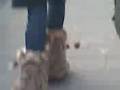 videos de Sanne + Shanice + lelijke schoenen.