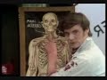 Monty Python Movies+Lumberjack Song