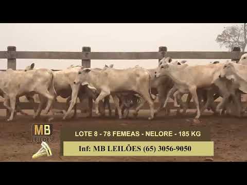 8� LEIL�O PRESENCIAL E VIRTUAL - LUCIANO DUARTE & CONVIDADOS