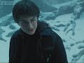 harry e draco   na sua estante