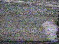 Fresno State alfalfa field management project