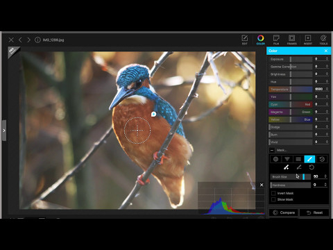 Editing a Kingfisher photo in Photoscape X Free