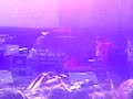 Chemical Crew (skazi Live) Monterrey N.L Chemical Crew (skazi Live) Monterrey N.L