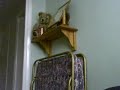 pulled of chair