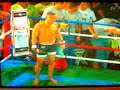vandame vs serginho