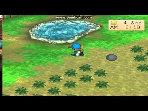 how to cheat harvest moon back to nature