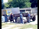 Carbage collection - Bulgaria (Vidin)