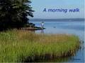 videos de Mount Carmel Campground