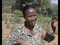 MaximsNewsNetwork: ETHIOPIA: GREEN REFUGEE CAMP (UNHCR)