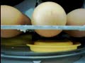 incubadora con microondas, volteo con plato