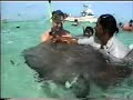 Stingray City