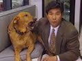 Pet Hotels - WorldBizWatch