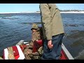 Fun with Lamprey
