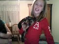 the super mason show / skinny and fat yorkie pupies