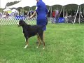 Chesapeake Dog Show 04/29/2007