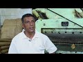 هذا الصباح - أكياس ورقية صديقة للبيئة في مصر -Views : 0