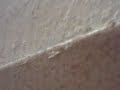 d�clenchement volontaire s�isme\"big one\" en californie