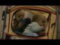 B-Twin-Baby-Boys-Pla