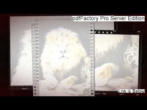 pdfFactory Pro Server Edition Download (Instant Download 2014)