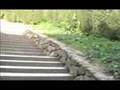 Park Guell Pt 1