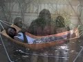 Yoni Mamoudou: Mimandi