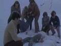 Alive (19...
