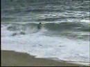 Skimboard pro