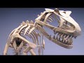 The Amazing Origami of Robert Lang The Amazing Origami of Robert Lang