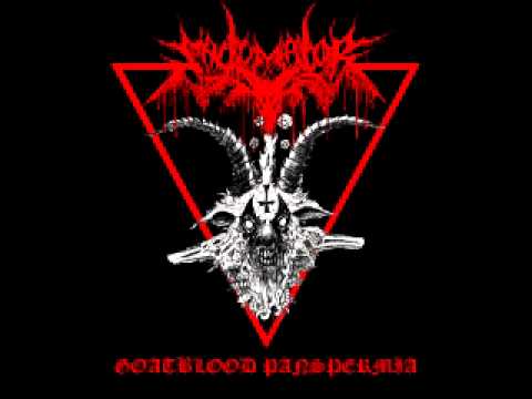 vulva