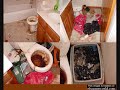 Messy Houses
