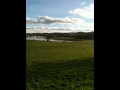 video1.mov Video