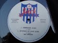 Mr Fingers Ammnesia (Original 12\" mix)