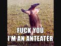 Secret A-Team Member the Ant Eater