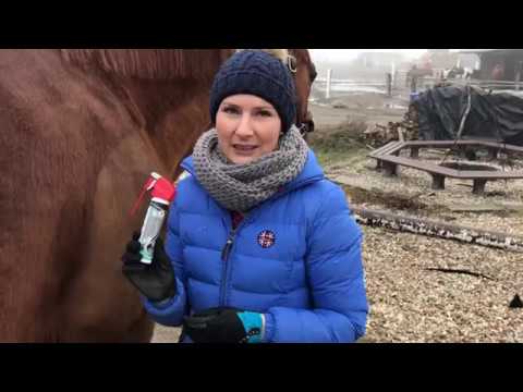 Unsere Hufroutine...... Die Hufpflege meiner Pferde