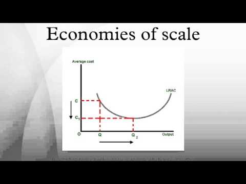 how to obtain economies of scale