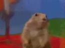 Dramatic Chipmunk Dramatic Chipmunk