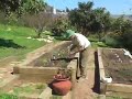 Veggie Gardener part 2