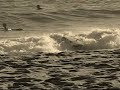 Surf en el Puente de Noviembre 07