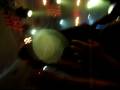 videos de MATT BOWMAN CROWD SURF