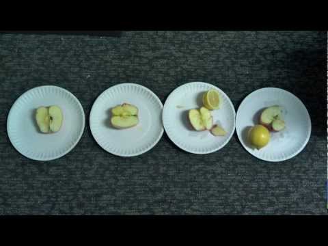 Why Do Apples Turn Brown?