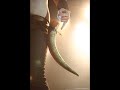 Amon Amarth - Arson