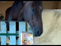 Icaro Del Mar avec une boite de c�r�ale xD