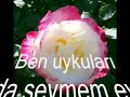 güzel bir şiir